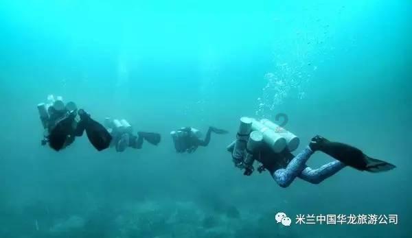 爱吃叶子的毛毛虫